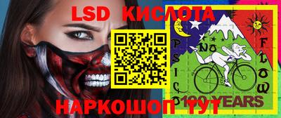 PSILOCYBIN Кунгур